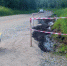 article4828.jpg - Газета Новый день