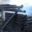 article5191.jpg - Газета Новый день