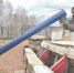 article5680.jpg - Газета Новый день