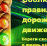 Нытвенский муниципальный район - Итоги социально – профилактического мероприятия «Лето - это жизнь». - Нытвенский район