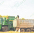 article6310.jpg - Газета Новый день