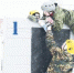 article6428.jpg - Газета Новый день