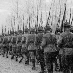 article6824.jpg